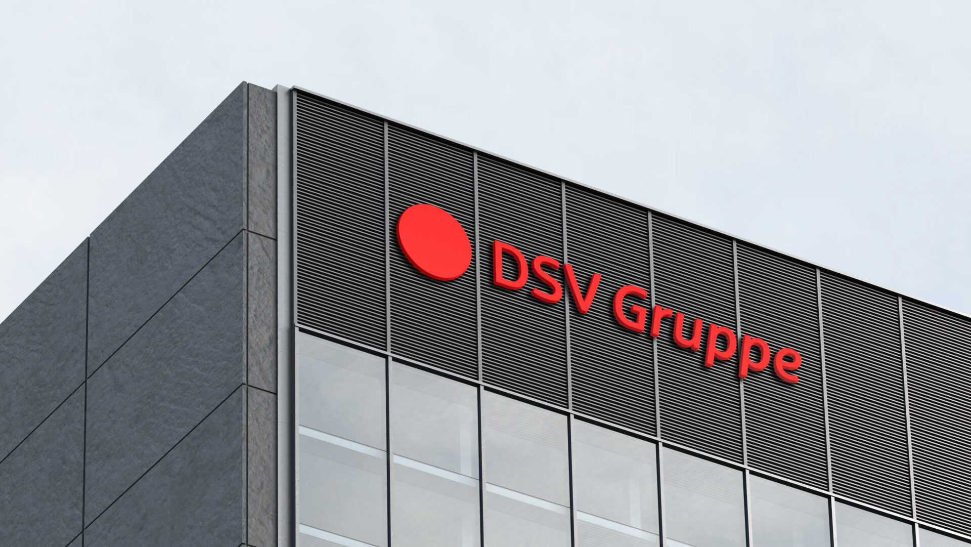 DSV Logo