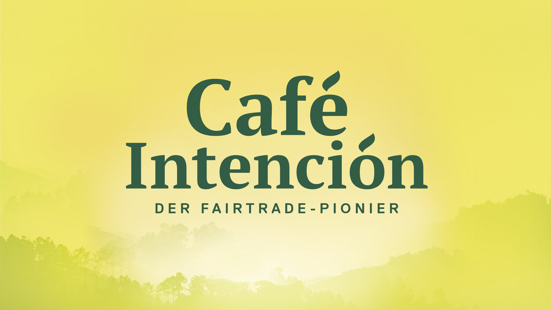 Ligalux Case DAR Cafe Intencion